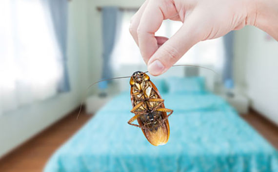 SERVICES FOR LANDLORDS AND AIRBnB SERVICES FOR LANDLORDS AND AIRBnB